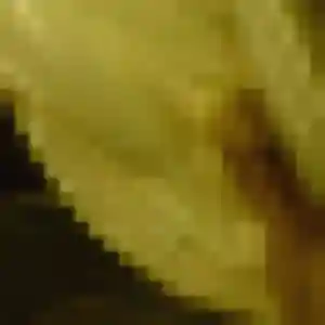Anissa, 32 ans, connectée à Villaines-sous-Malicorne pour un beurette