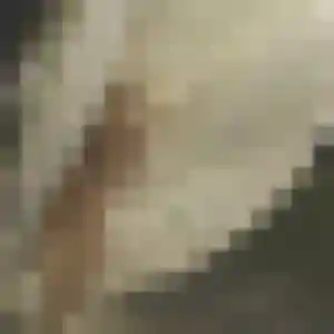 Charmante Naila, 22 ans à Villeconin - la contacter