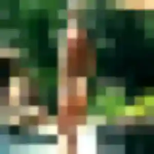 Profil de Zineb à Villegly (41 ans) - beurette gratuit