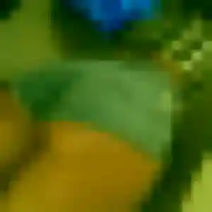 Photo privée de Aicha, 44 ans à Villeneuve-d'Olmes - rencontre coquine