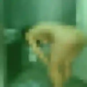 Photo privée de Sarah, 34 ans à Villeneuve-Tolosane - plan discret