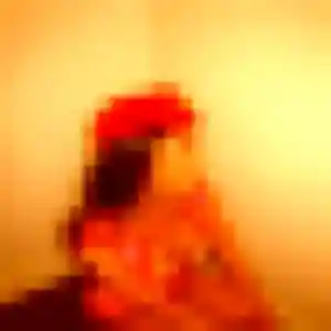 Photo exclusive de Rachida, 36 ans à Villenoy - rencontre sans lendemain