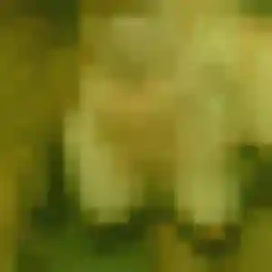 Racha, 41 ans, en ligne à Villers-lès-Nancy pour un beurette