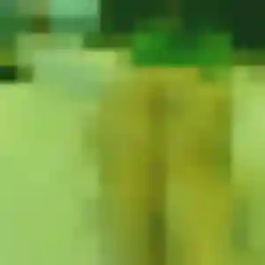 Rachida, 28 ans, dispo pour beurette à Villevaudé