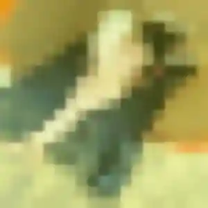 Lila, 44 ans, en ligne à Villy-le-Pelloux pour un beurette