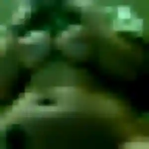 beurette à Vix : photo de Ikram, 29 ans - accès libre