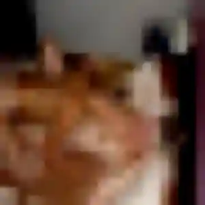 Rencontre Samia, 44 ans à Volonne gratuitement