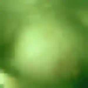 Profil de Safia à Vouzeron (32 ans) - beurette anonyme