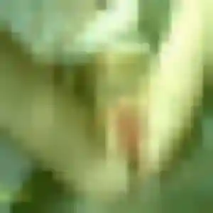 Emna, 44 ans, cherche un beurette à Vue