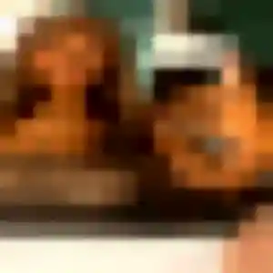 Photo de Najat à Waltenheim-sur-Zorn (44 ans) - beurette anonyme