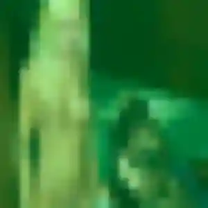 Photo sexy de Nesrine, 32 ans à Wambrechies - rencontre sans lendemain