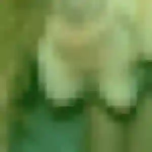 beurette à Wangen : photo de Rim, 43 ans - inscription gratuite