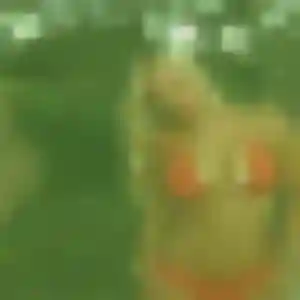 Nesrine (40 ans) à Wardrecques cherche une rencontre maintenant