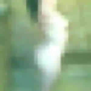 Rencontre Yara, 27 ans à Wargnies-le-Grand gratuitement