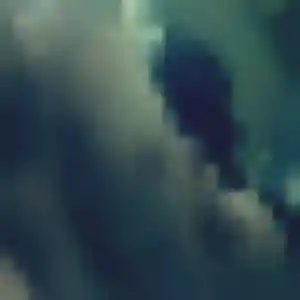Sonia, 31 ans, cherche un beurette à Wavrans-sur-l'Aa