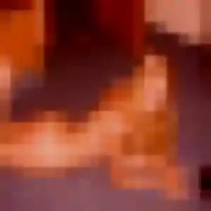 Sarah (34 ans) à Wettolsheim propose une rencontre maintenant