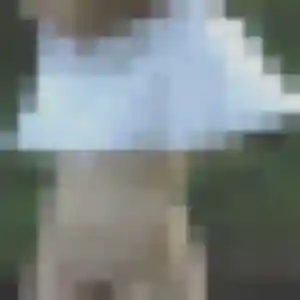 Photo sexy de Rokia, 38 ans à Wissembourg - rencontre sans lendemain