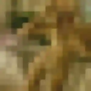 Lina (32 ans) à Wittersheim cherche un beurette maintenant