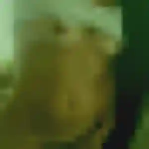Photo de Maya à Yzeure (41 ans) - beurette discret