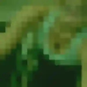 Rejoins Ihsane, 44 ans à Zinswiller en privé